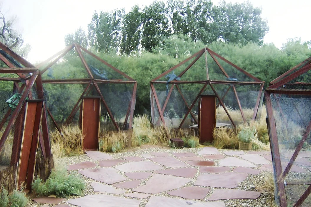 runninw-enclosures.jpg