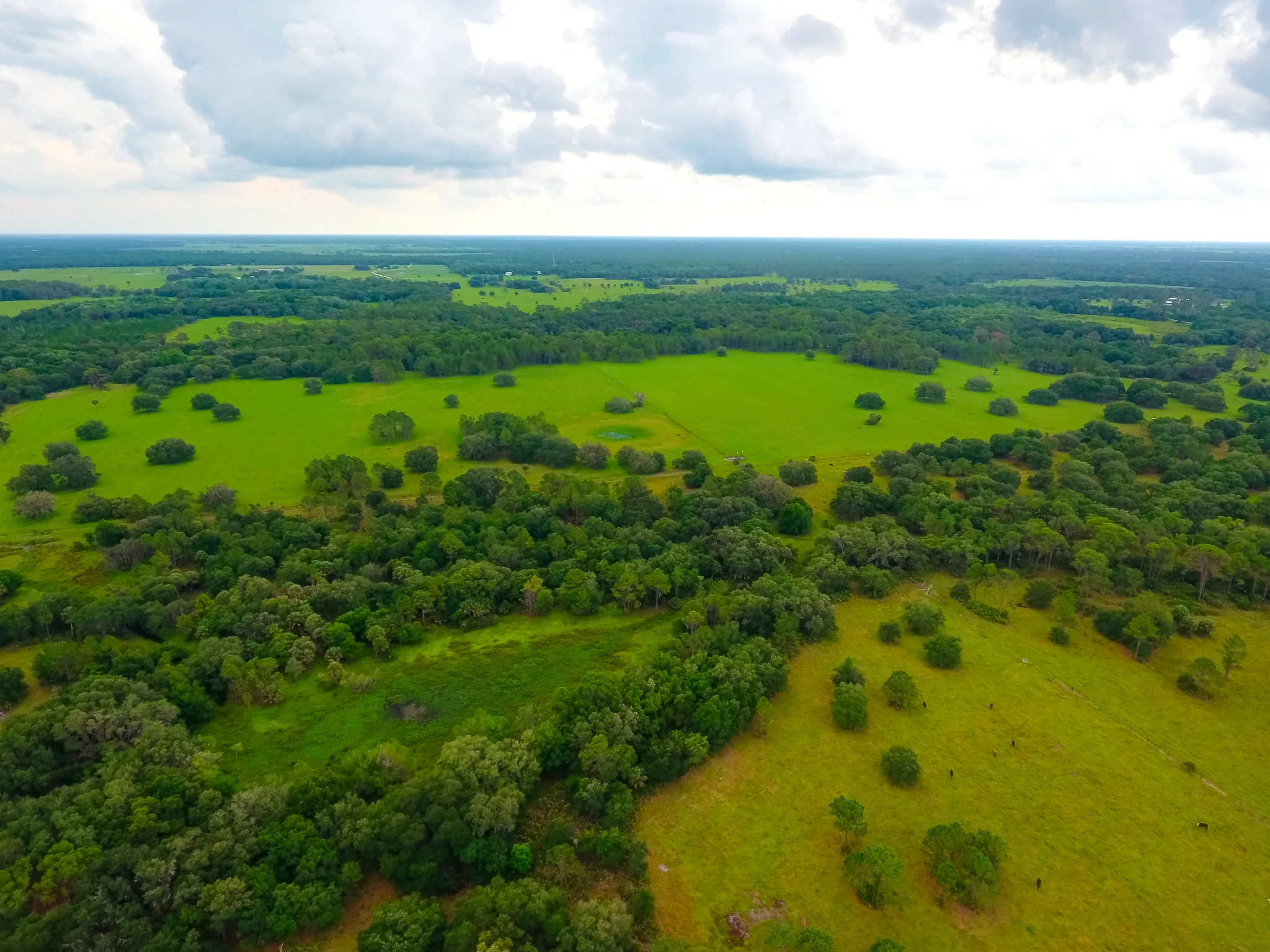 2019-05-13 38500 Clay Gully Rd Myakka City FL 34251 VIDEO-49_50_51.jpg