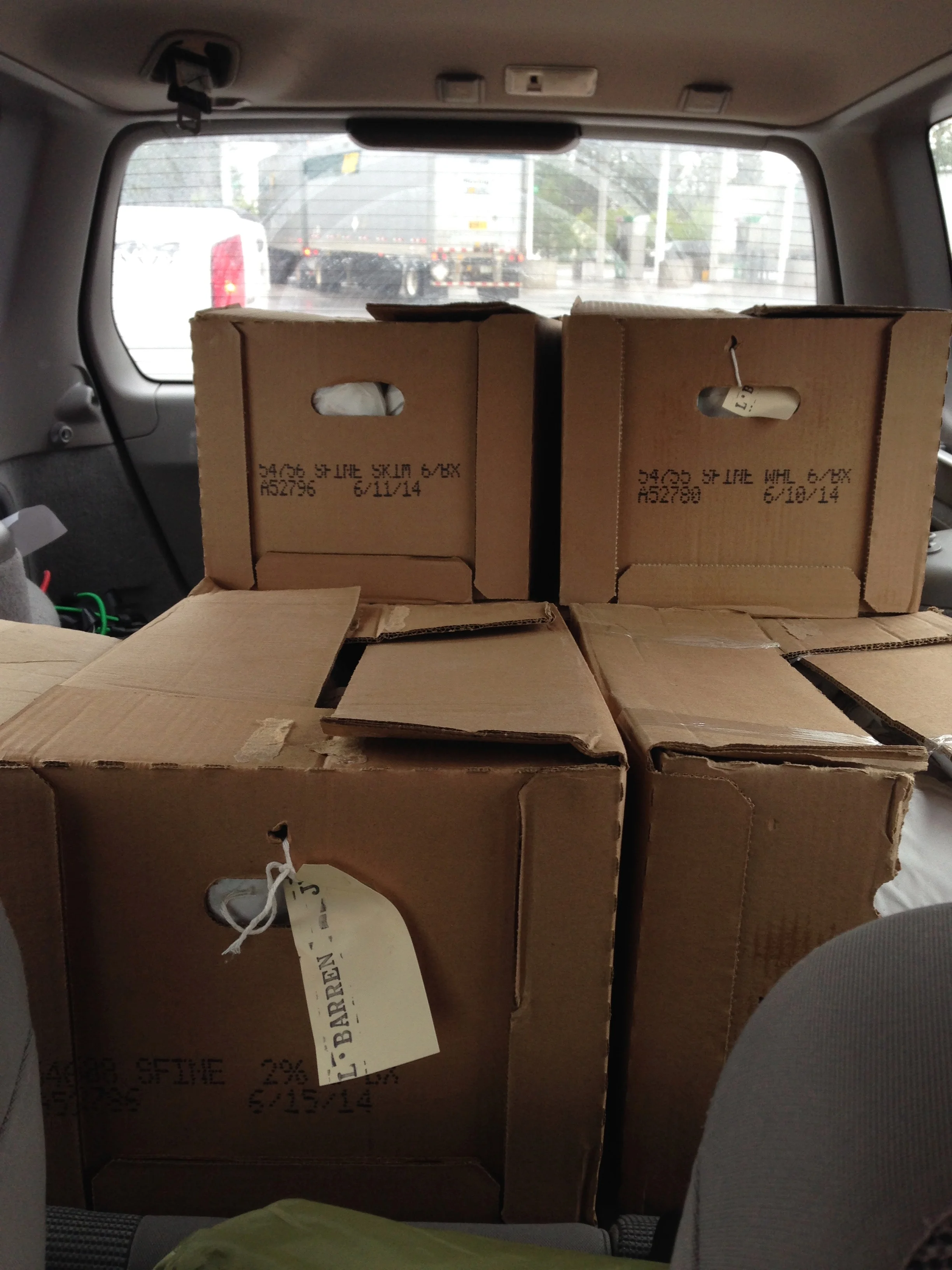 These boxes contain our first (but definitely not last) entire grass fed, pastured, organic cow. We bought a chest freezer and put it in our living room to store our bulk meat.People thought we were weird AF, but we were committed.