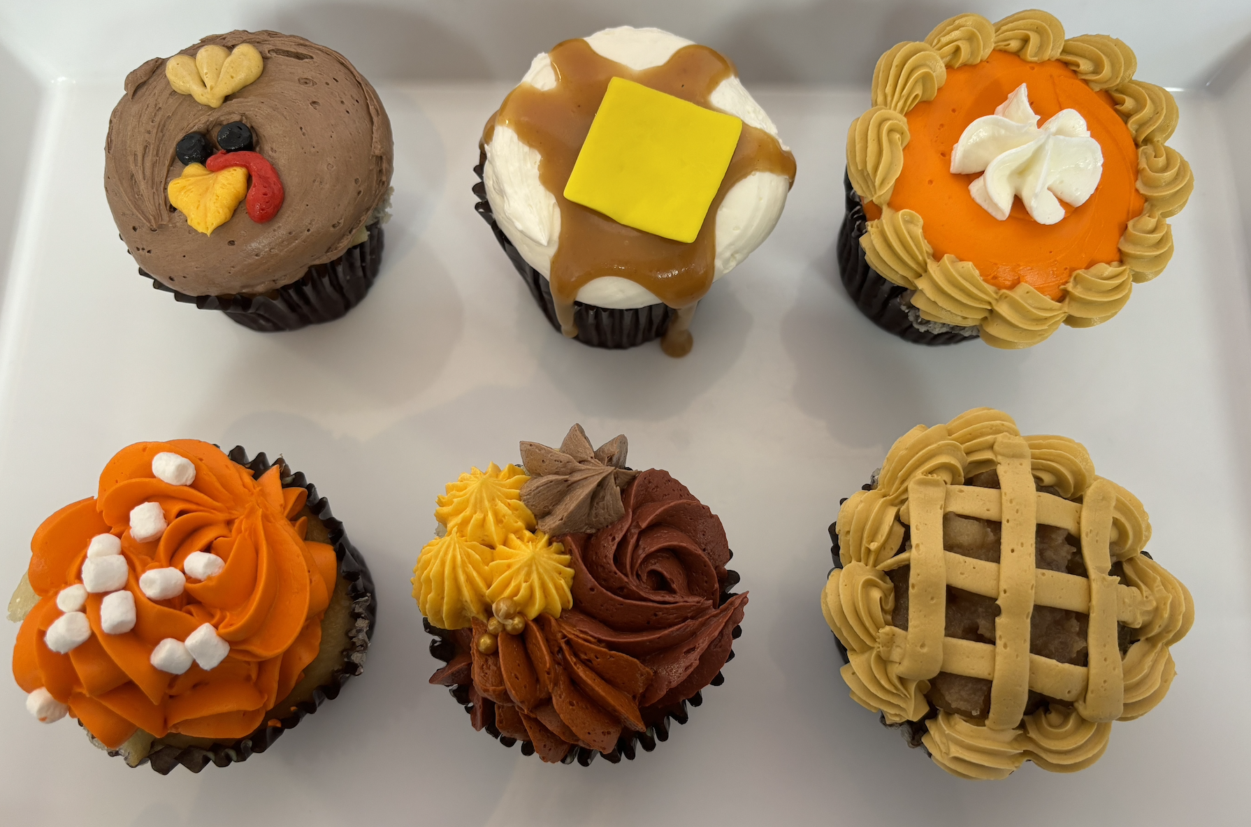 Thanksgiving Cupcakes 6 Pack Pre Assorted