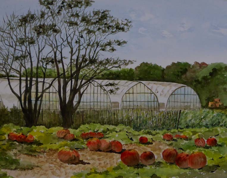 Anne Katz-Pumpkin Farm-Watercolor.jpg