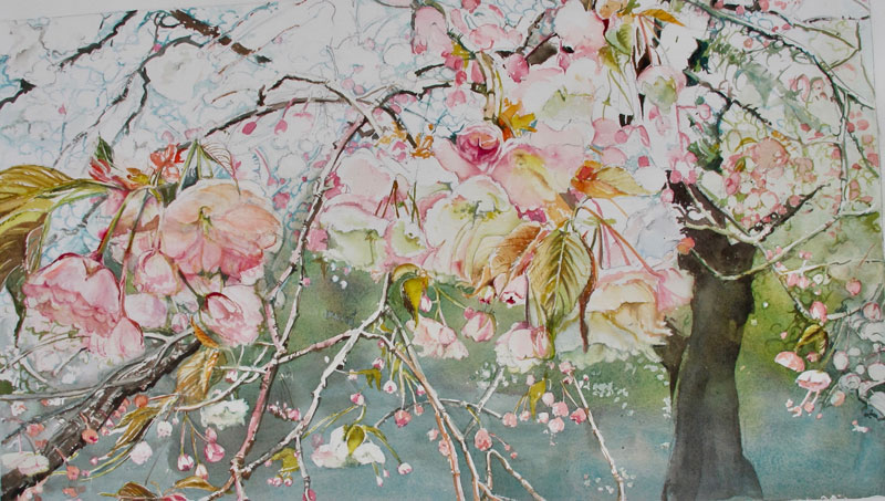 Hiscox, Katherine- Spring Blossoms (Copy)