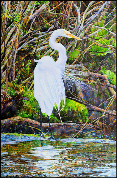 Egret,-Early-Summer,-Avalon-Preserve,-Stony-Brook,-NY,--Mounted-Watercolor-on-Canvas-43-x-28,-2017
