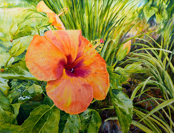 Orange Hibiscus, Mounted Watercolor on Canvas, 32 x 42, 2016