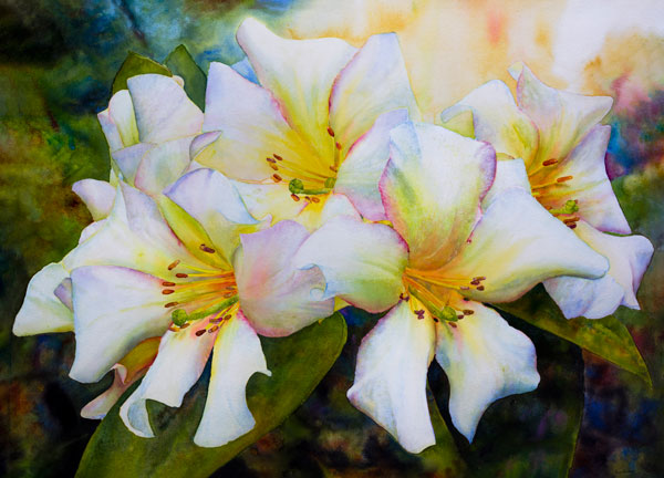 RosWhite-Rhododendrons,-Mounted-Watercolor-on-Canvas,-32-x-42,-2014