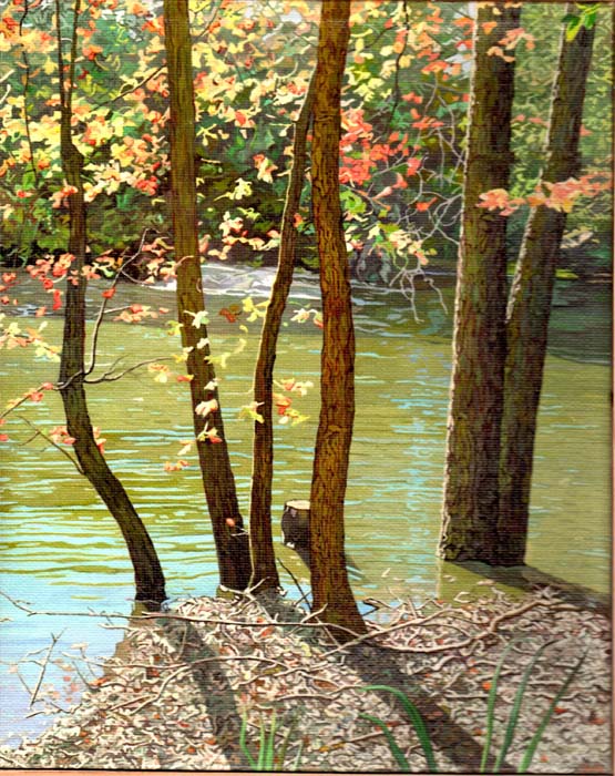 Shain Bard - Pond without Duck - Oil