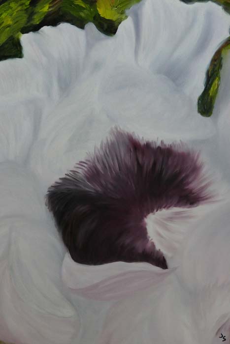 White Poppies - Oil - 24x20 - $495