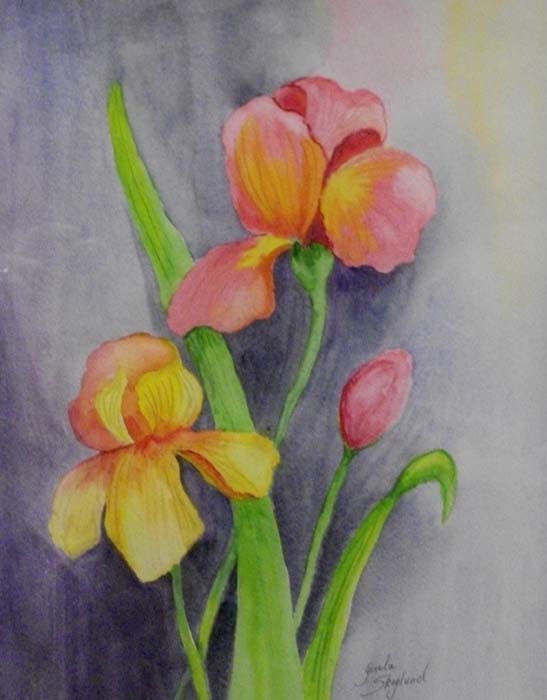 Iris - Watercolor