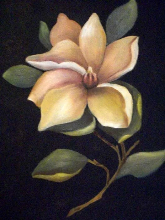 Magnolia Blossom - Oil.jpg