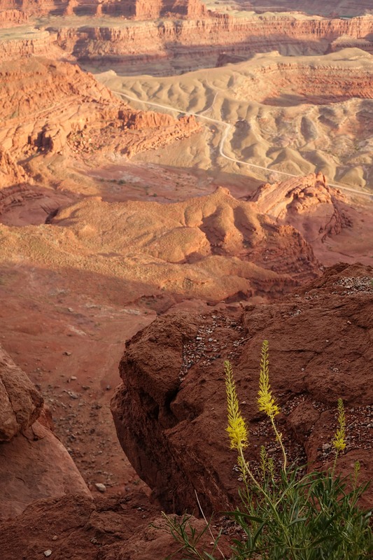 Vista Canyonland NP