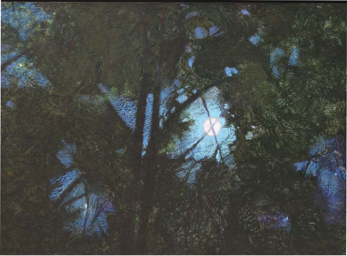 Nolan, Pamela Long -  Full Moon Dark Leaf.jpg