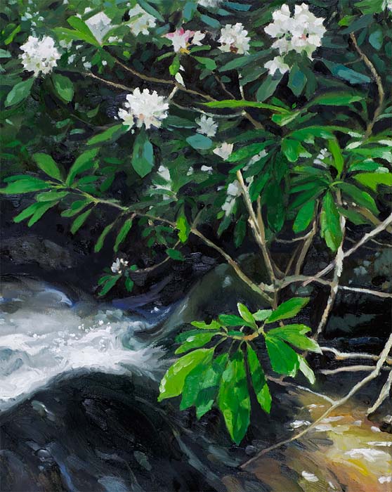 Robert Felker-Smoky Mountain Laurel - Oil on Canvas.jpg
