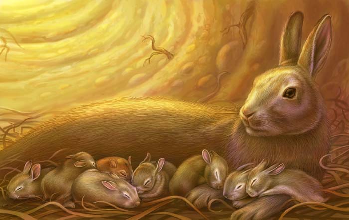 Wallace, Chad -RabbitDen-The Mouse and the Meadow, Dawn Publications, 2014.jpg