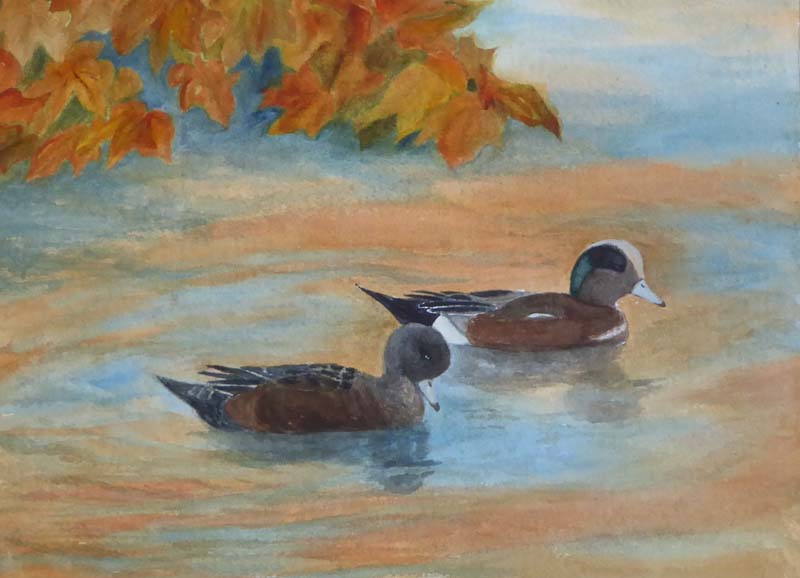 Anne Katz-Autumn Ducks-Watercolor (Copy)