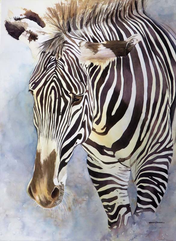 Teresa Cromwell- Zebra-Watercolor (Copy)
