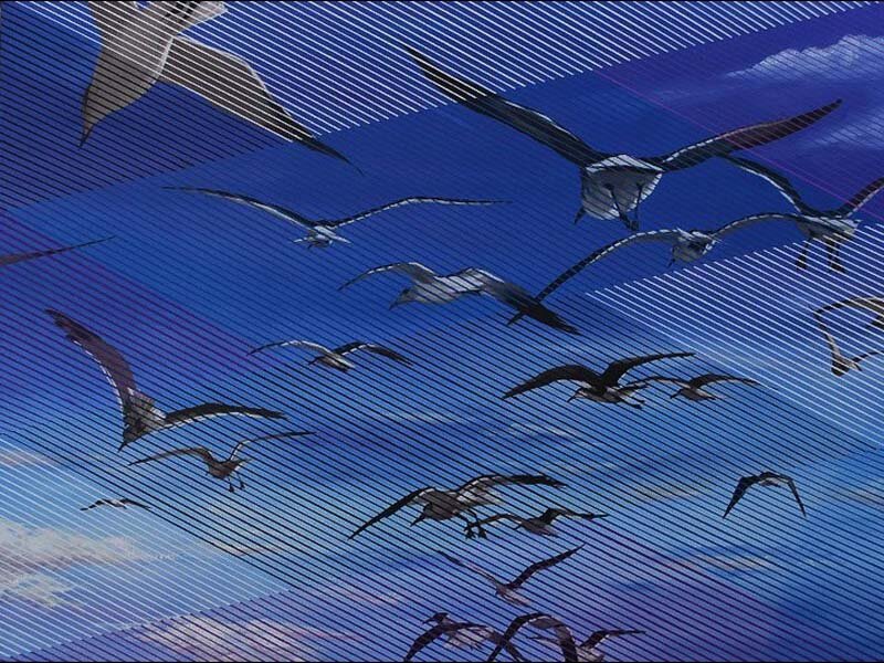 Don Weber-Flight-Oil on Canvas (Copy)