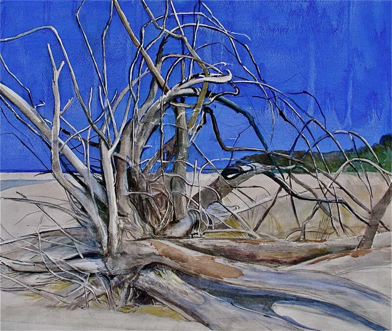 Katherine Hiscox-Roots Revealed-Watercolor (Copy)