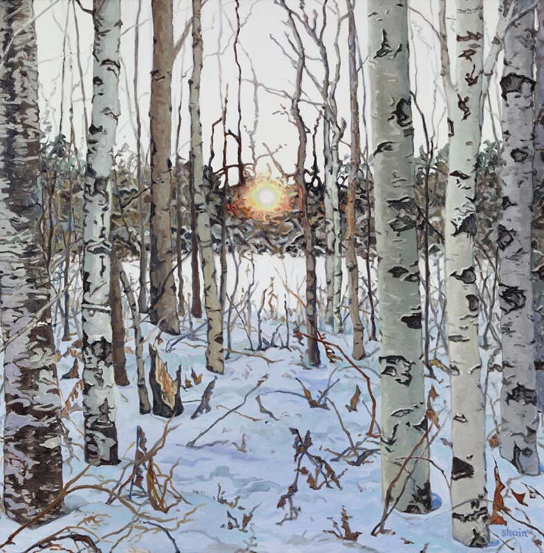 Sun Behind Birches-oil-36x36-$1850