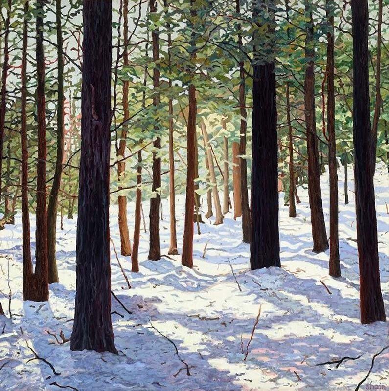 Winter Light, oil, 48 x 48
