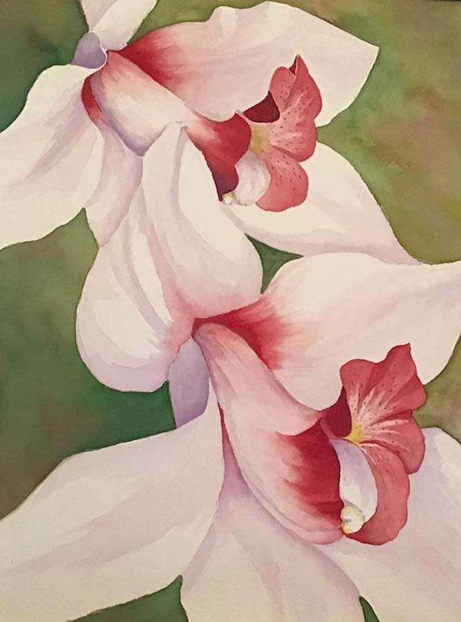 Lynn Kinsella-Orchid-Watercolor-$300