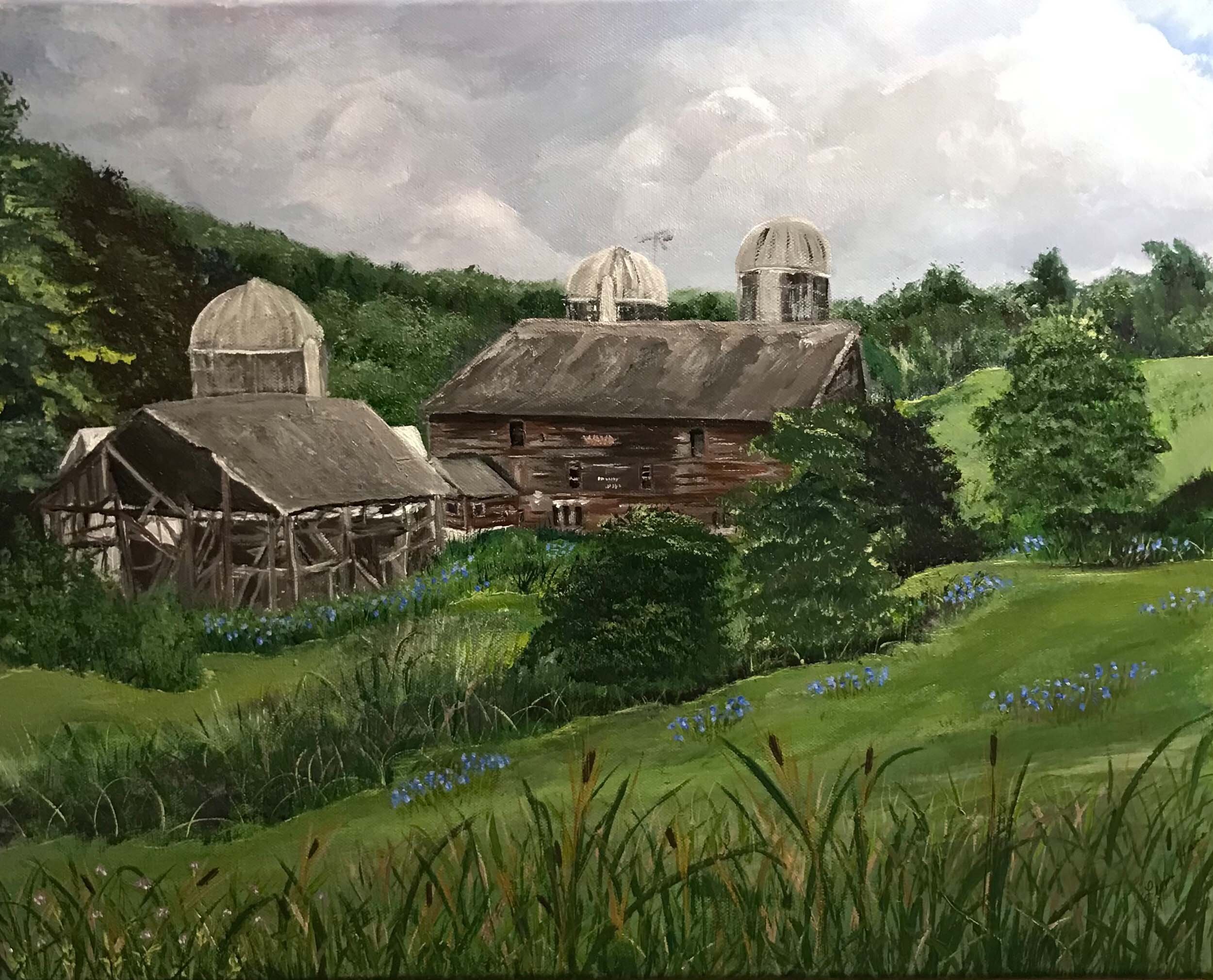 Barns and Blue Violets   16” x 20” Acrylic on canvas