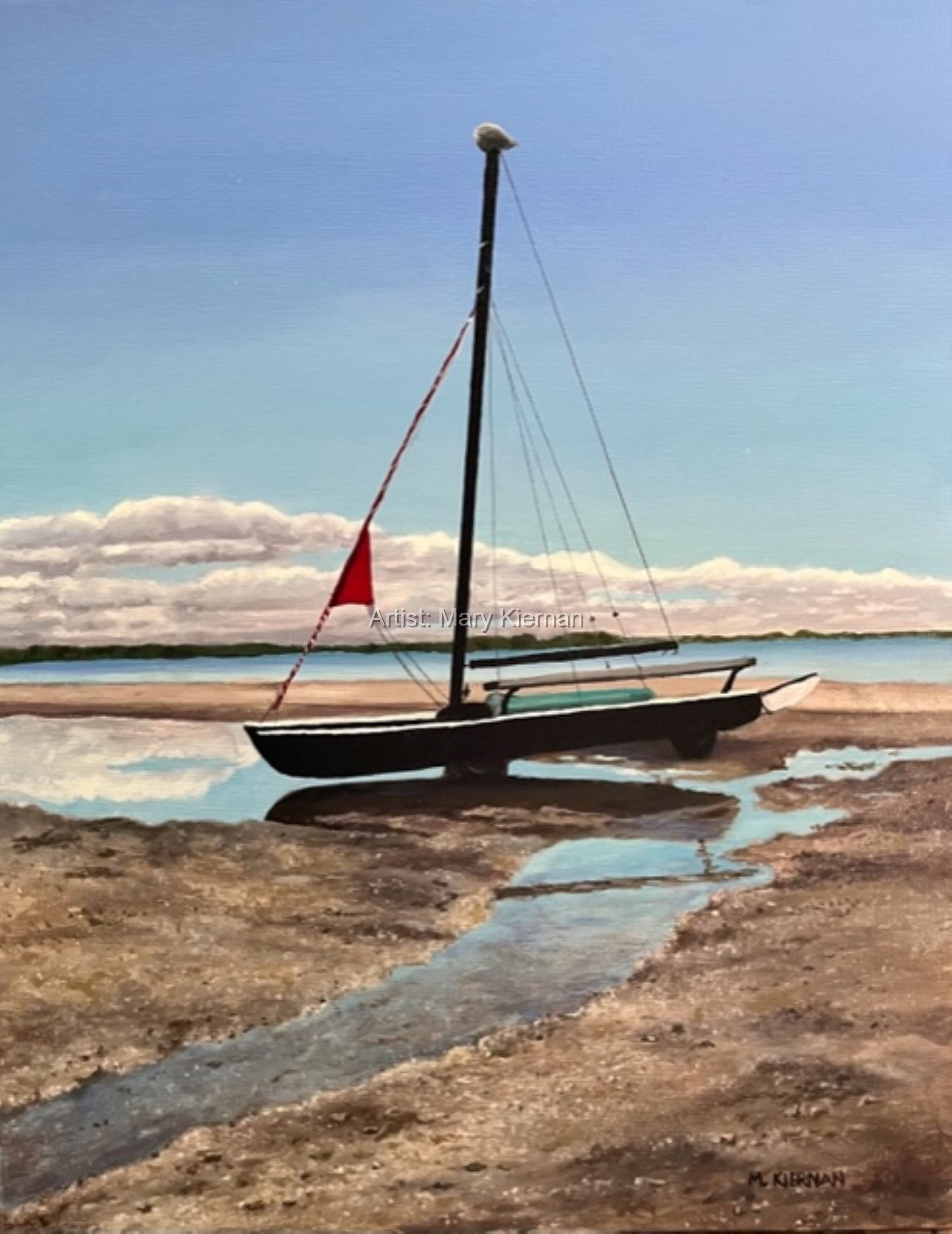 Beached in Centerport, oil