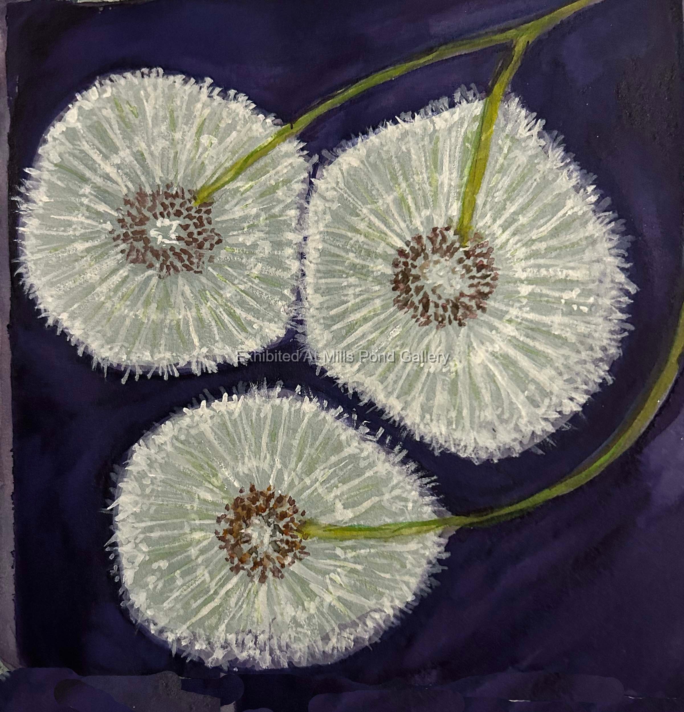 Roberta Rodgers-Dandelion Seeds-Watercolor