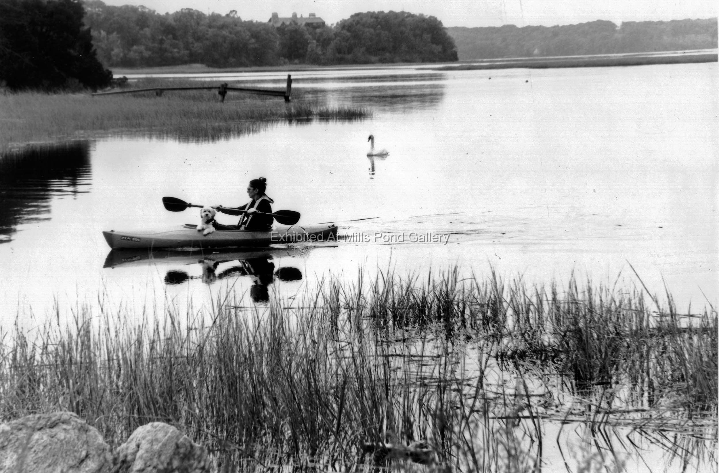 Howie Pohl, Dog with Woman, Stony Brook Harbor-Gelatin Silver Film Photography.jpg