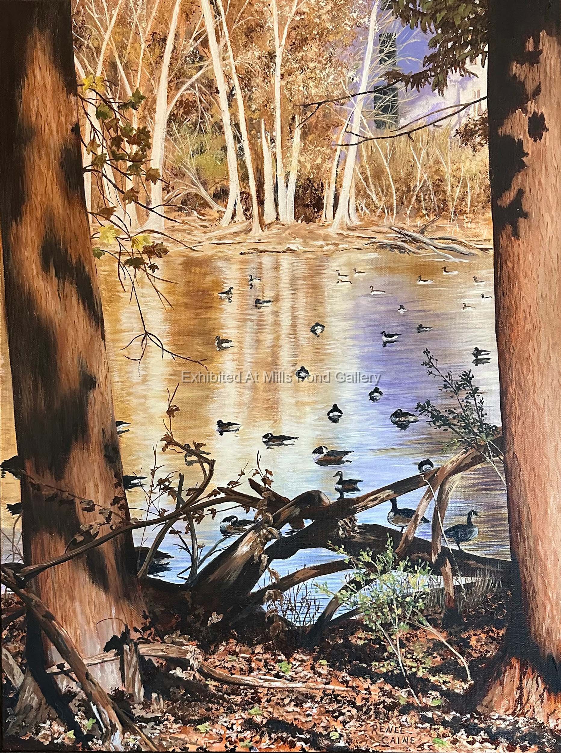 Renee Caine-Autumn at Mills Pond-Oil.jpg