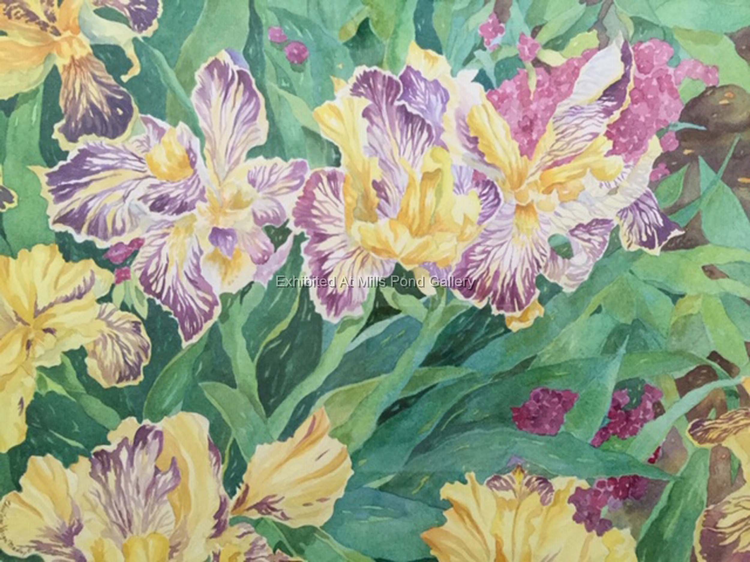 Christine Verga Maday-Heritage Irises-Watercolor on Paper.jpg