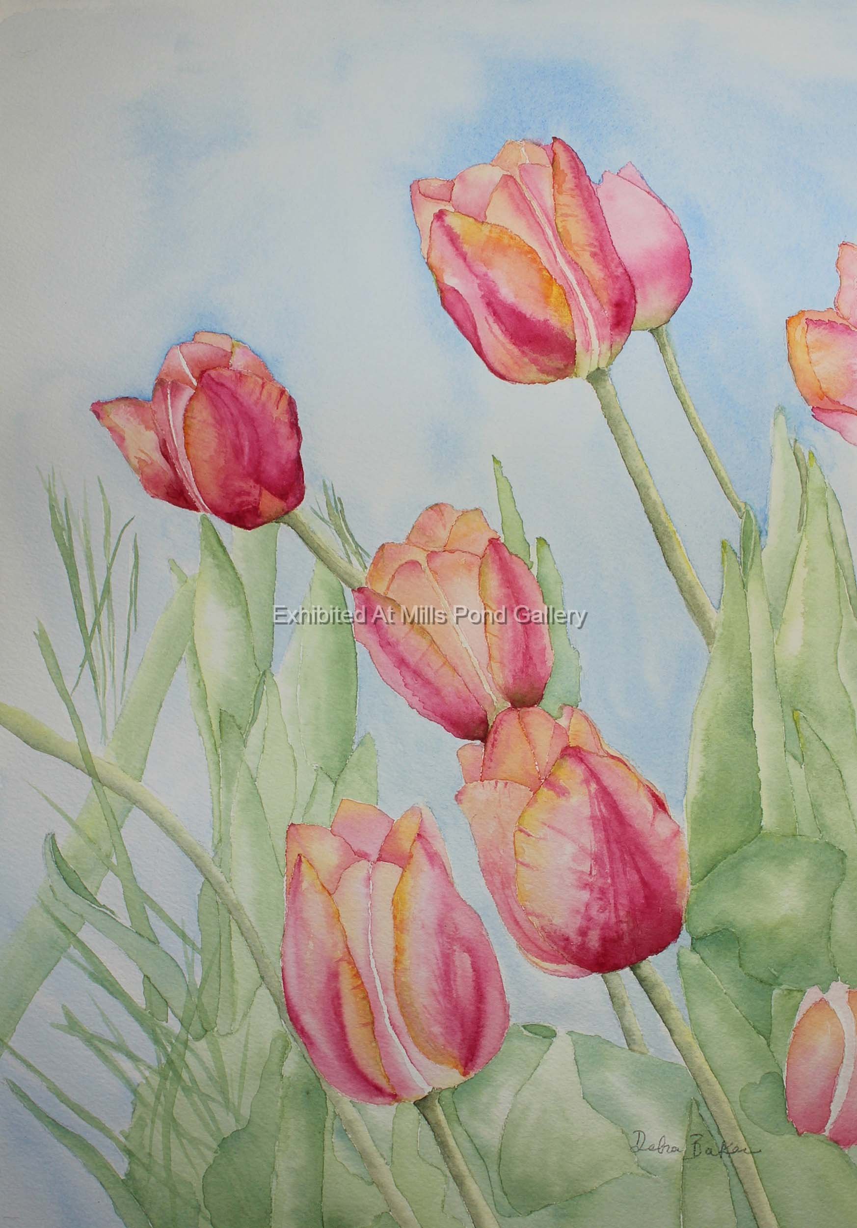 Debra Baker-Tulip Garden-Watercolor.jpg