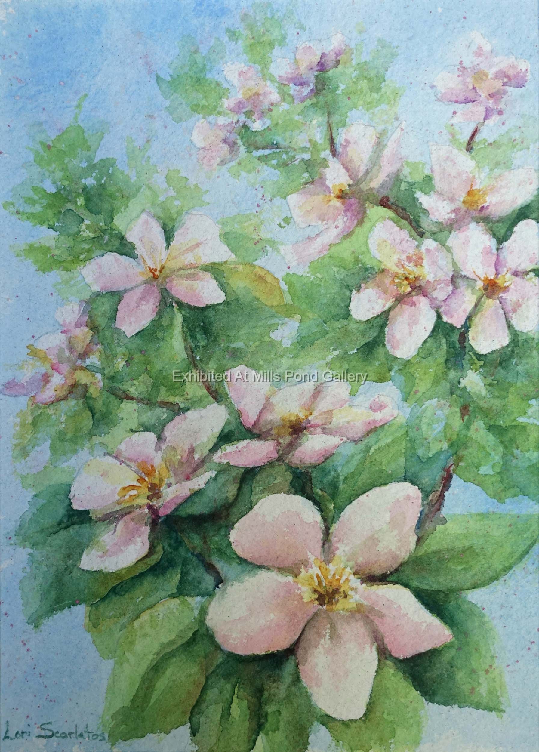 Lori Scarlatos-Apple Blossoms-Watercolor on handmade paper.jpg