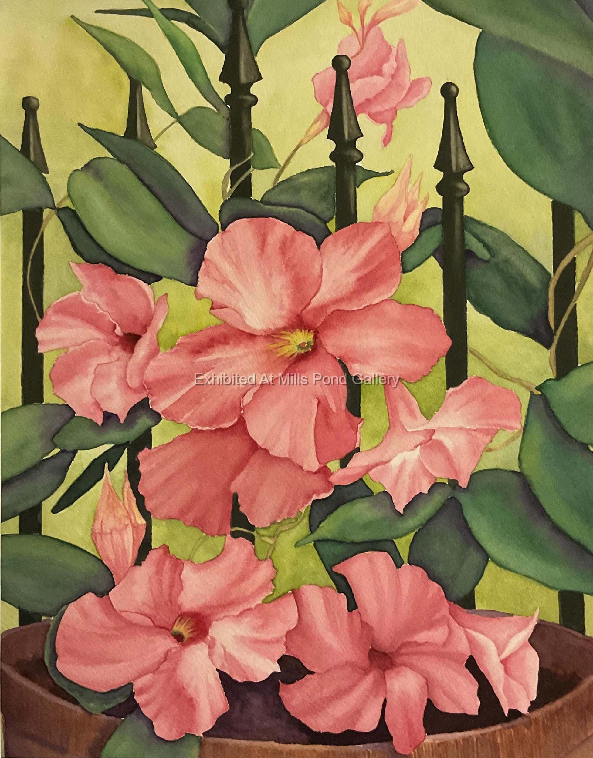Lynn Kinsella-Ron s Hibiscus-Watercolor.jpg