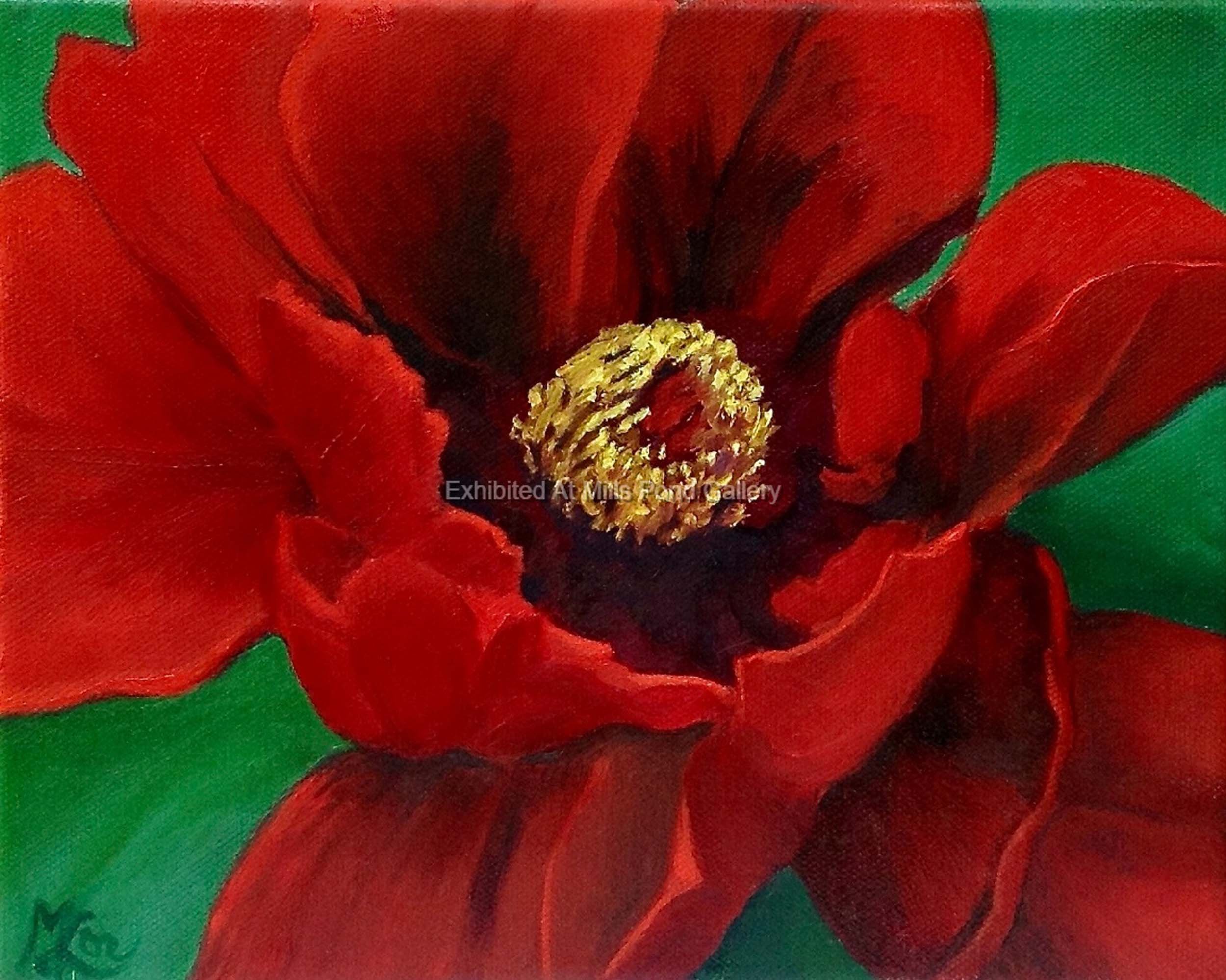 Mary Lor- Red Peony-oil.jpg