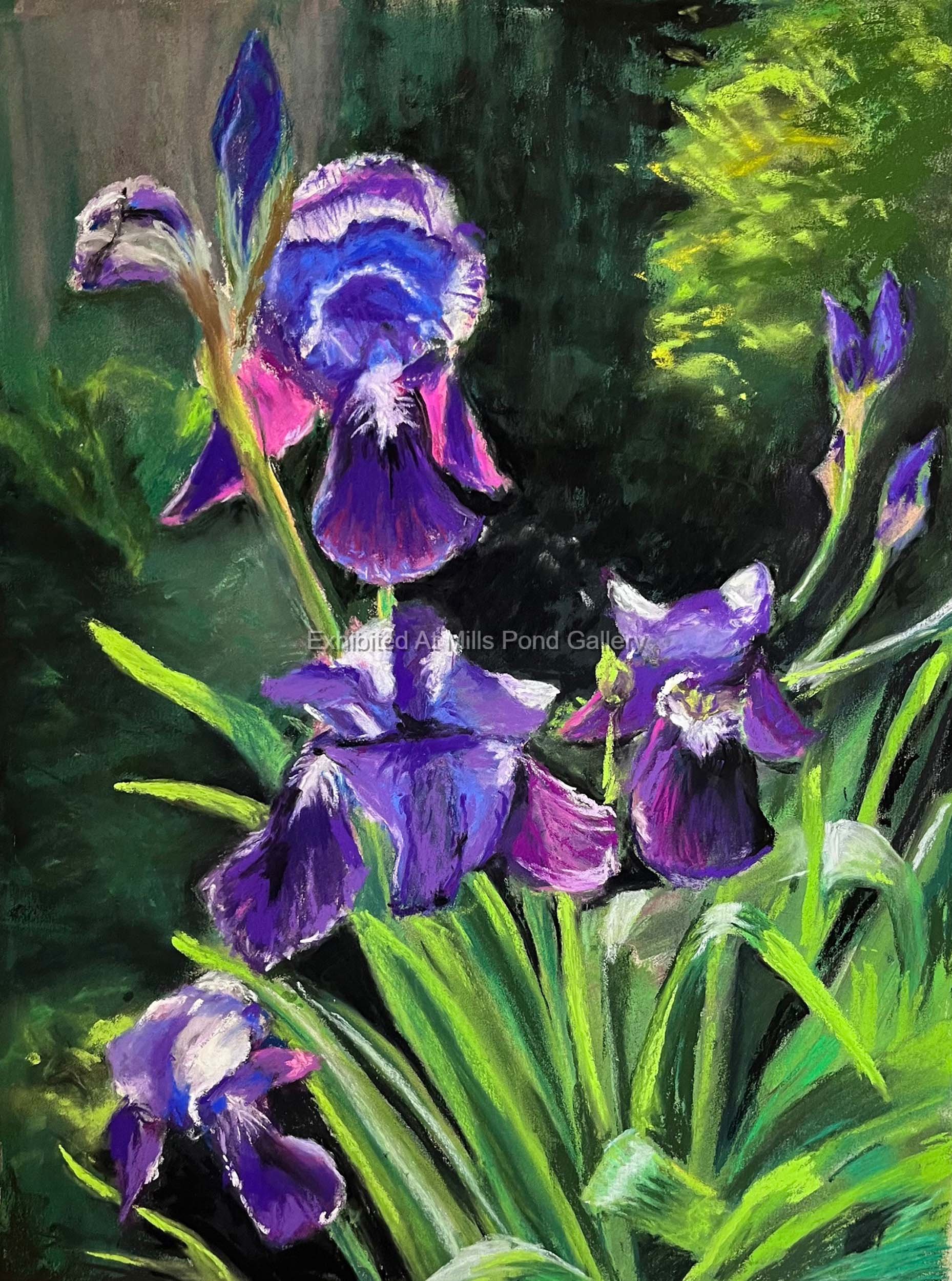 Mary Kiernan- Irises-Pastel.jpg