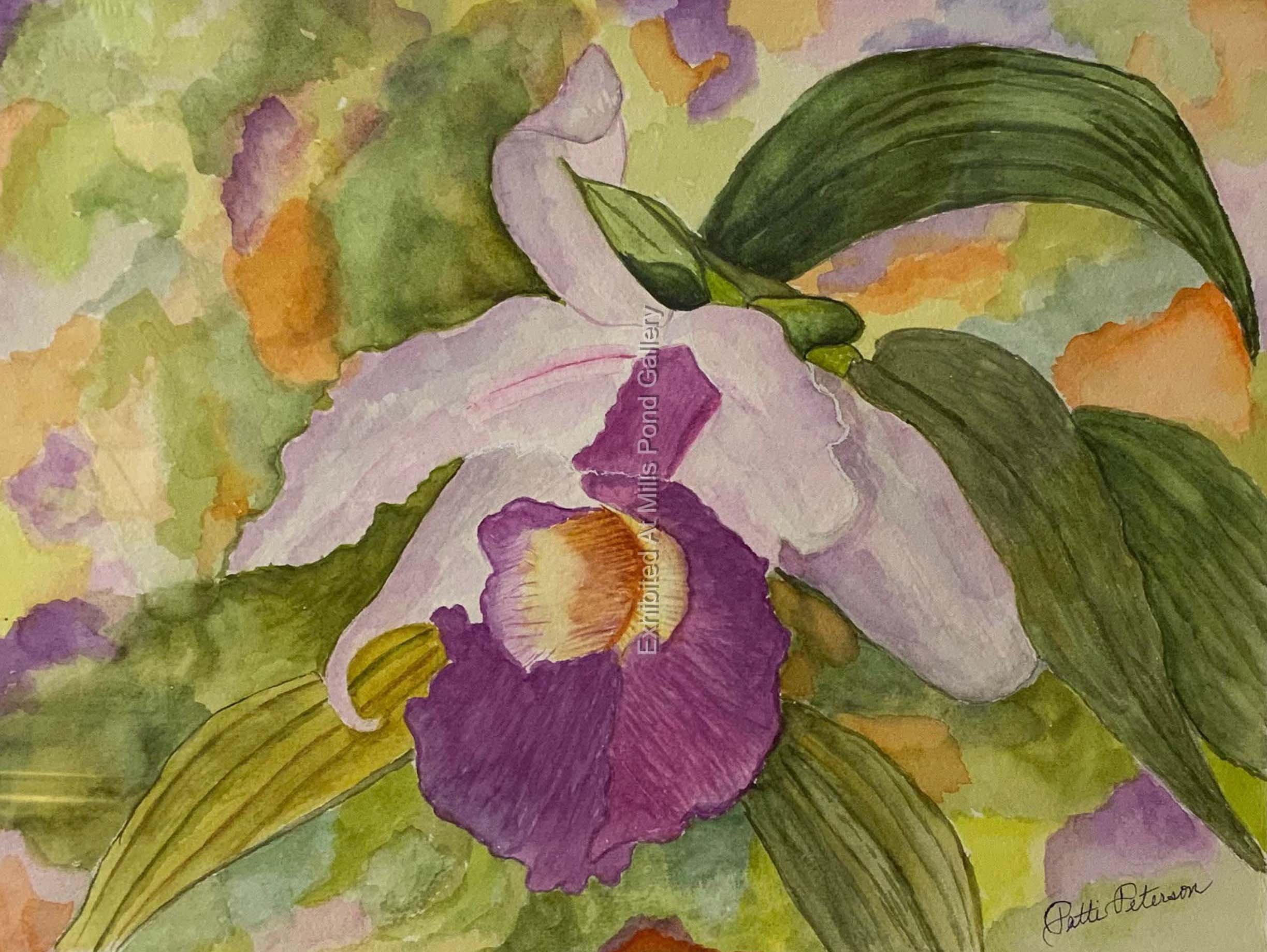 Patti Peterson-Purple Iris Royalty-Watercolor.jpg