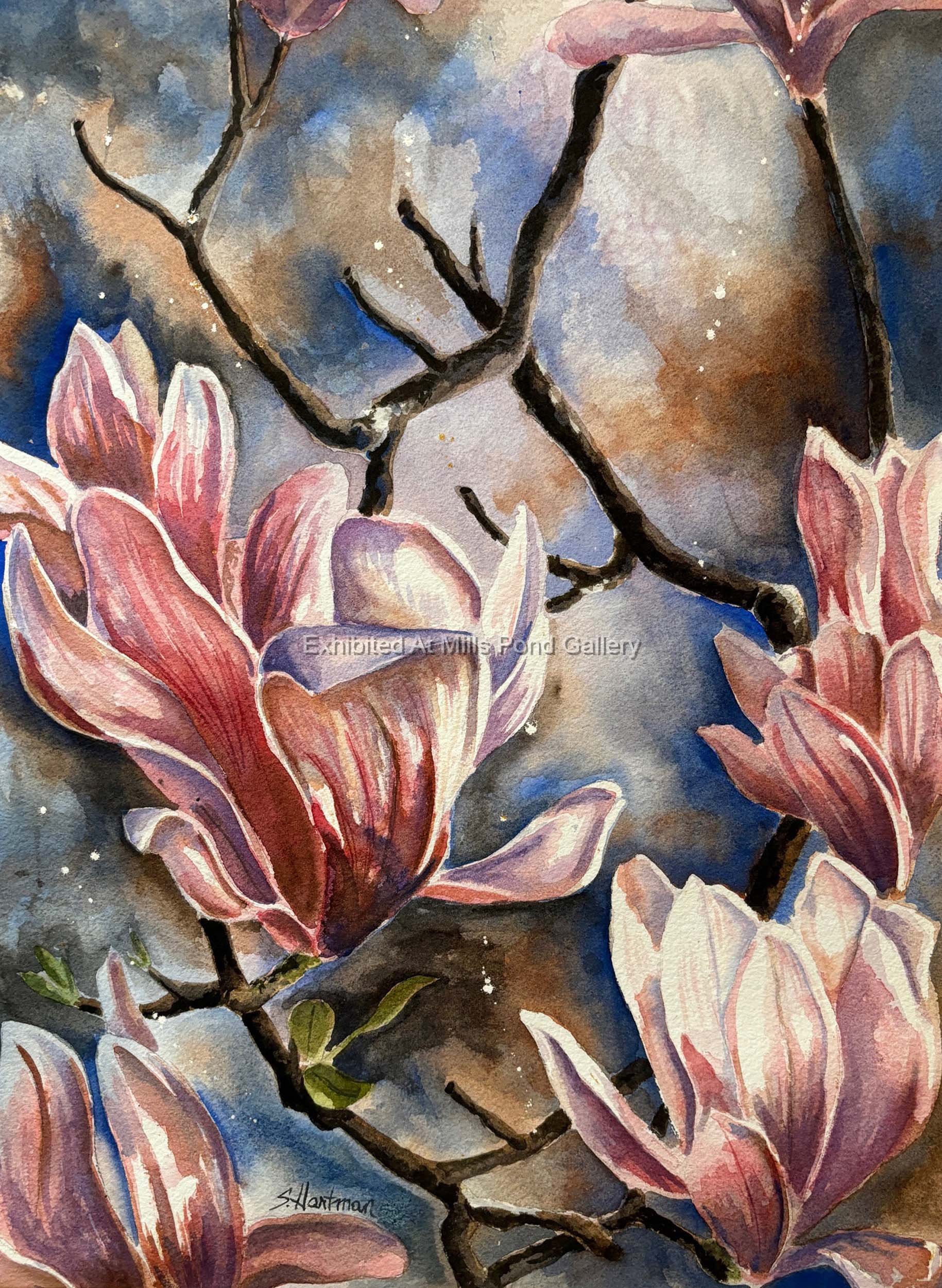 Scott Hartman-Tulip Tree in Spring-Watercolor.jpg