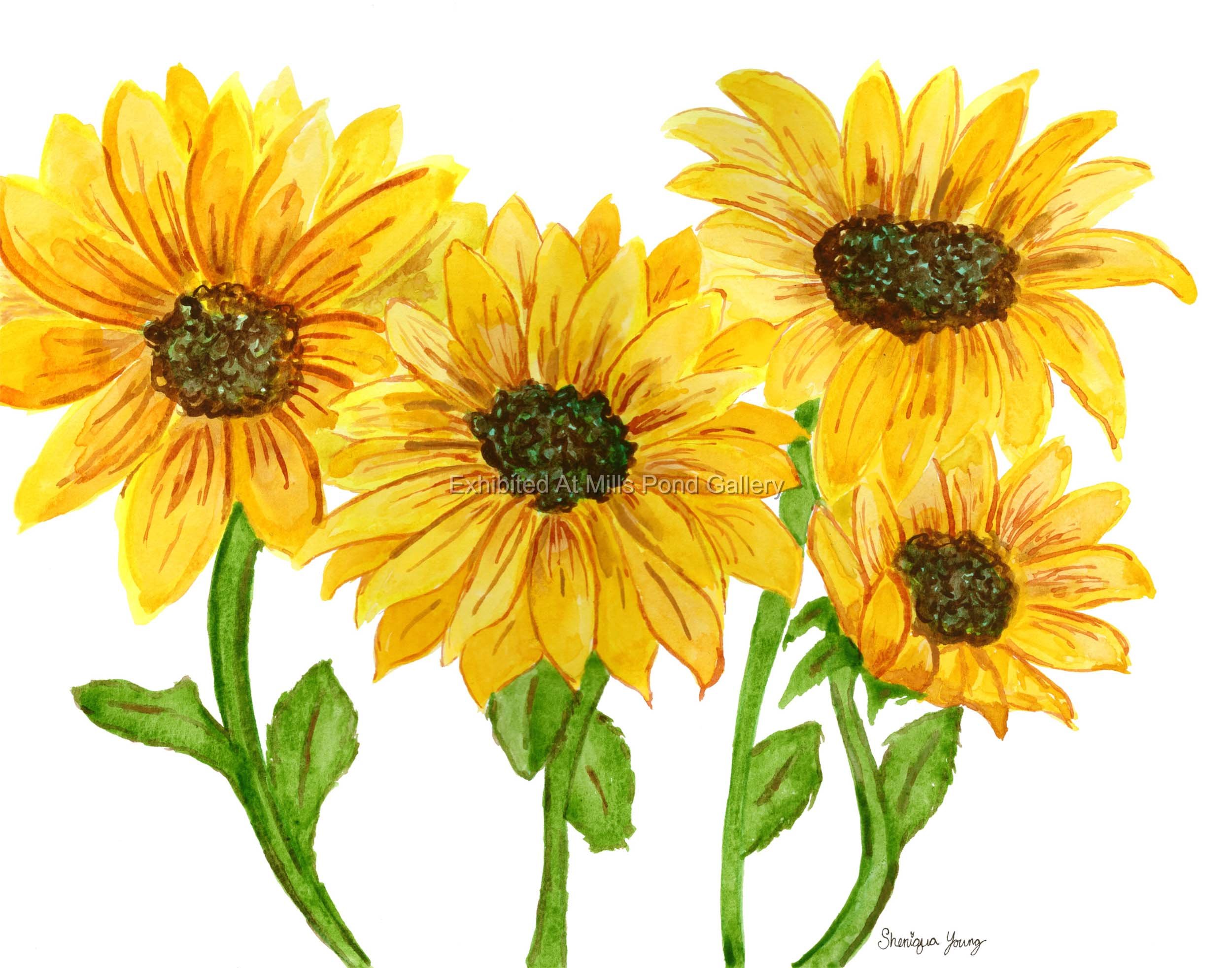 Sheniqua Young-Sunflowers #2-Watercolor.jpg