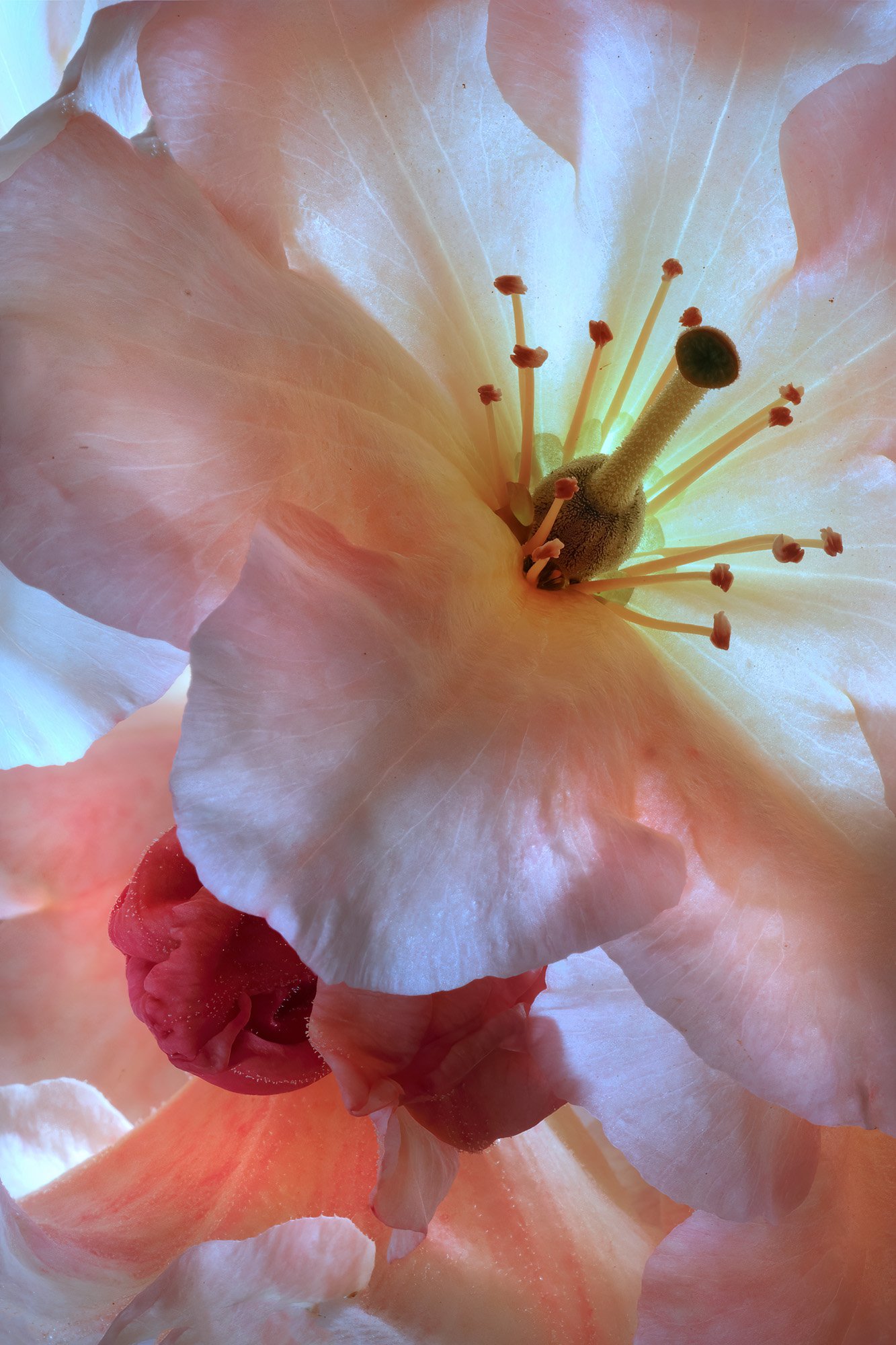 James Kelson-Number 51-Photography