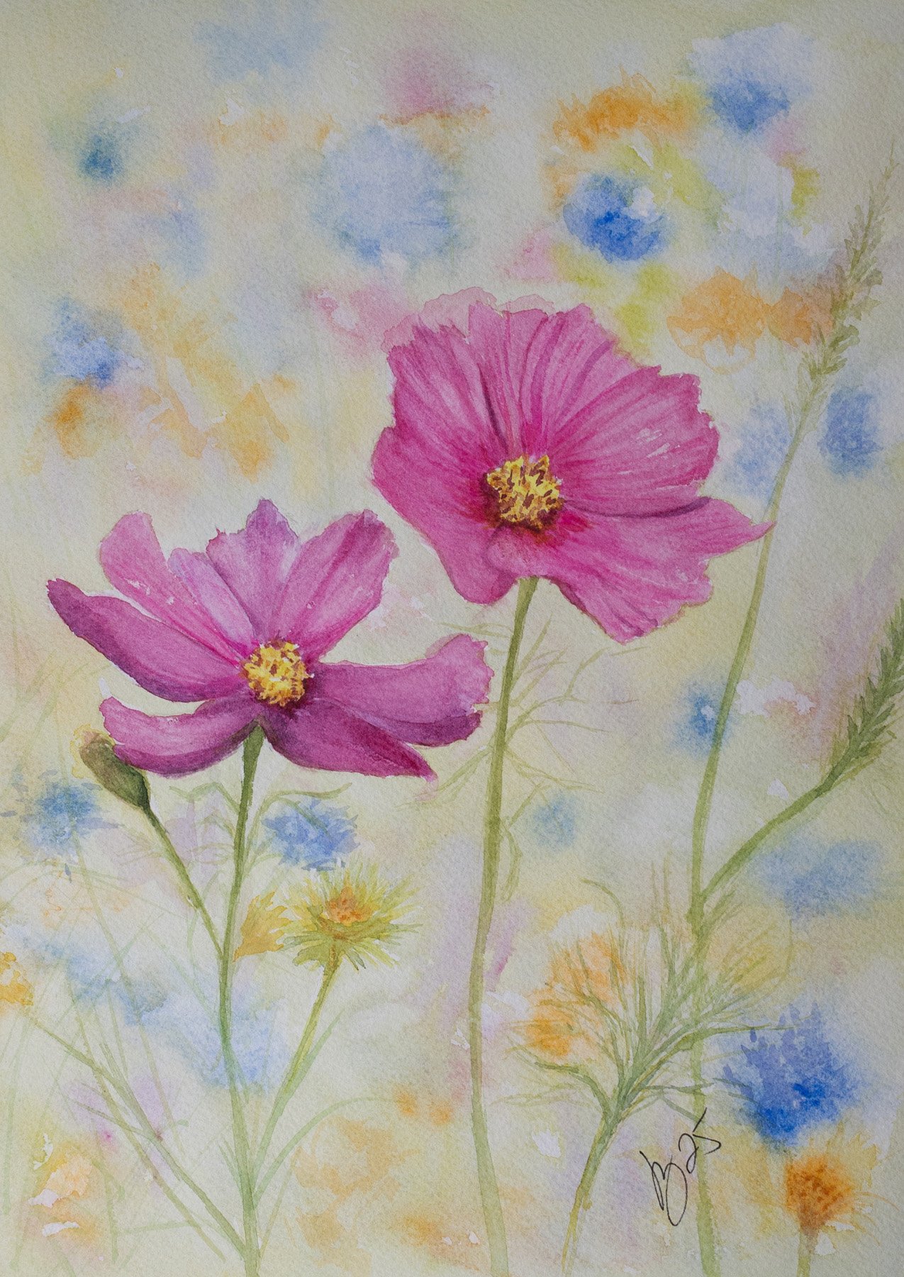 Karen Jakubowski-Cosmos and Wildflowers-Watercolor