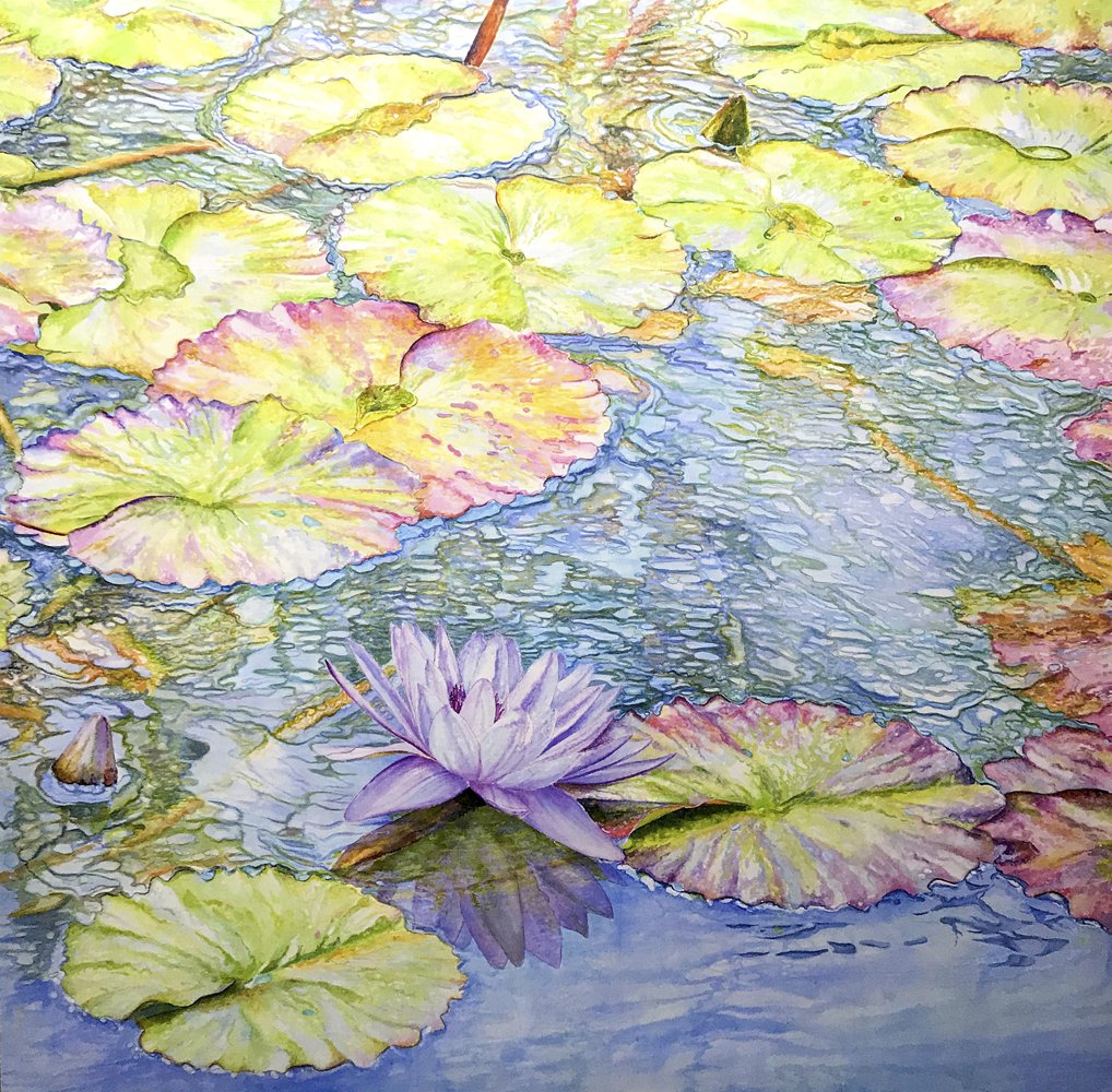 Ross-Barbera-Waterlilies-Acrylic on Kona Cotton
