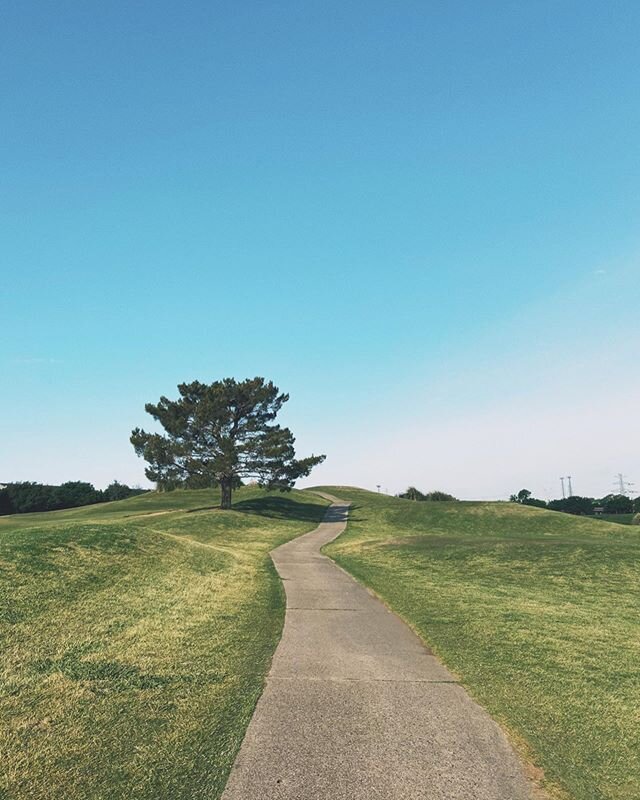my morning walks on the empty golf course easily becoming my new favorite time of day..
.
&ldquo;progress means getting nearer to the place you want to be.. and if you have taken a wrong turn, then to go forward does not get you any nearer.
if you ar