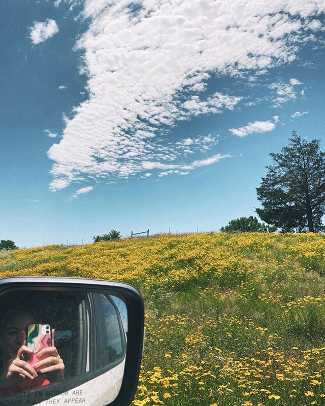 I guess weeds are my new favorite flower.. 🌼🌼🌼
.
&amp;&amp; after months of quarantine, I have never enjoyed a drive through the midwest so. much.