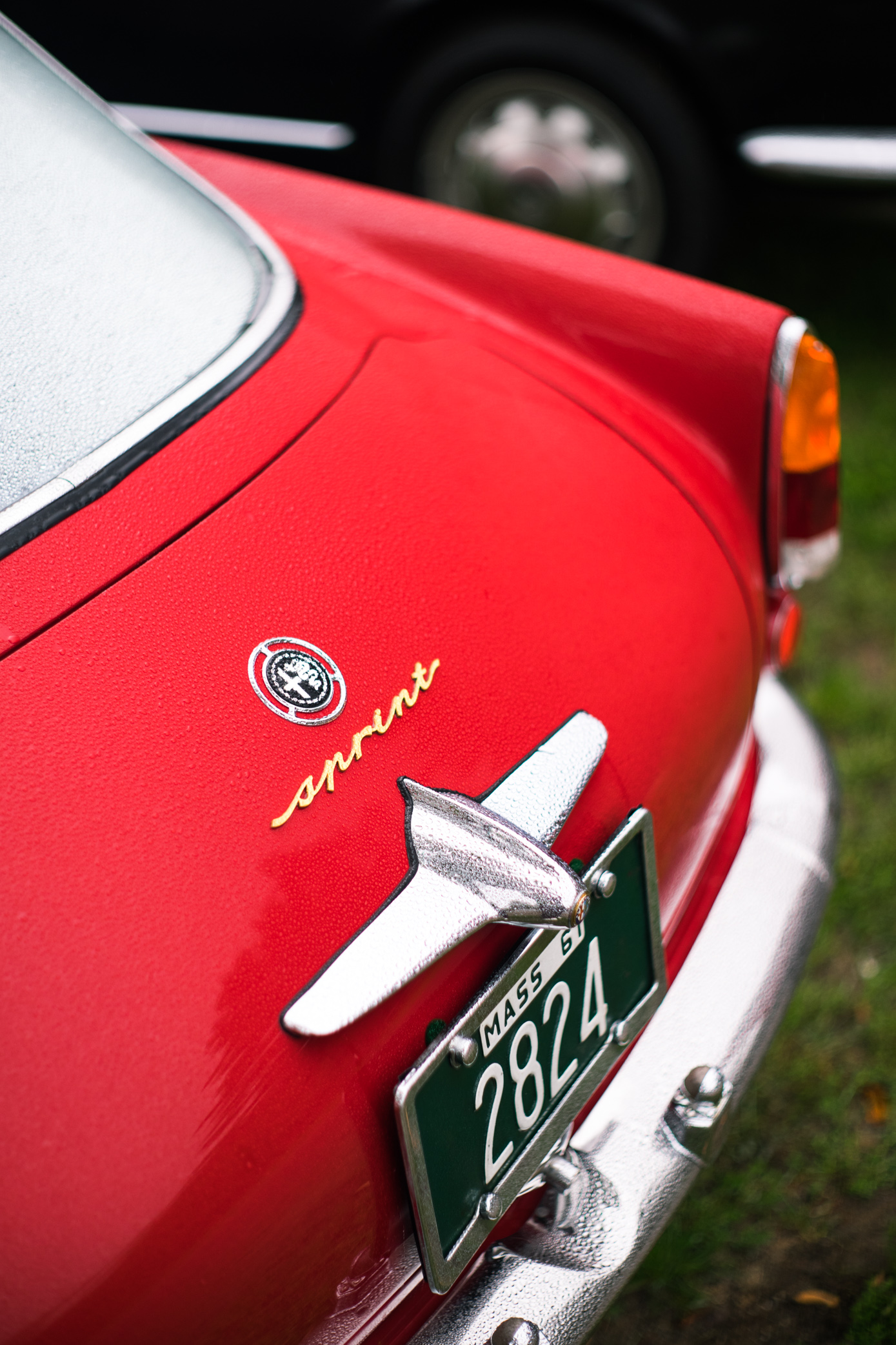 tutto-lite-7.jpg