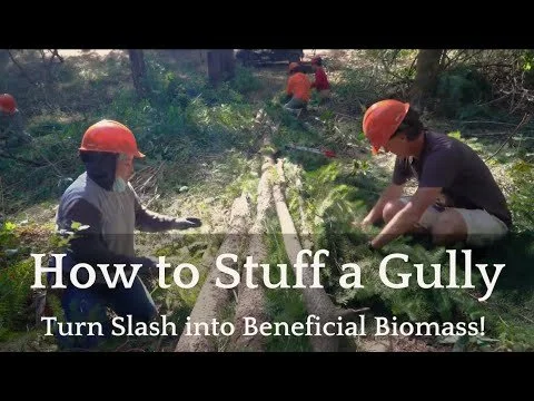 Gully Stuffing- OAEC