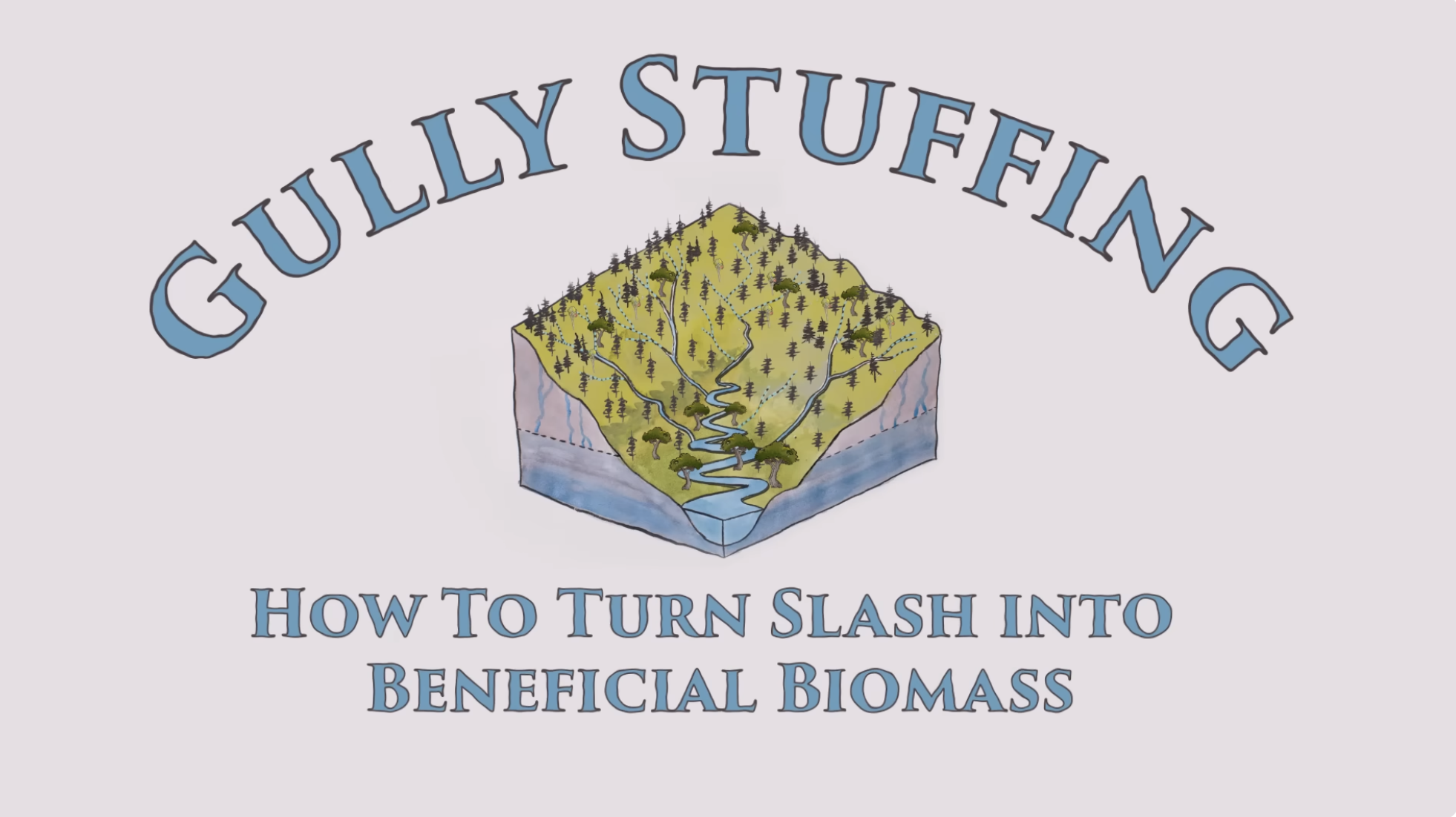 Gully Stuffing: How To Turn Slash Into Beneficial Biomass
