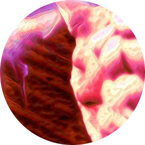1-8-specimen.png