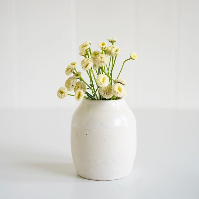 White on white on white. - 
#ceramics #pottery #handmade #flowers