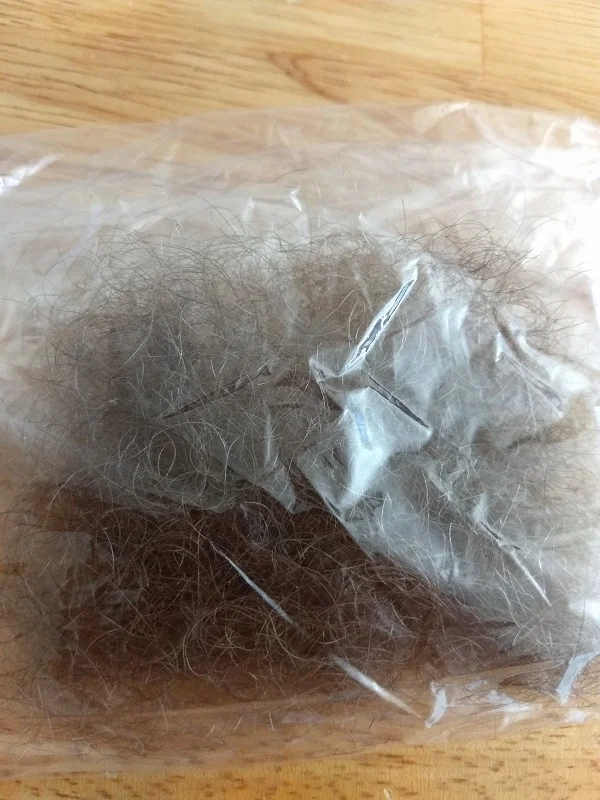 lynchpubes1.jpg