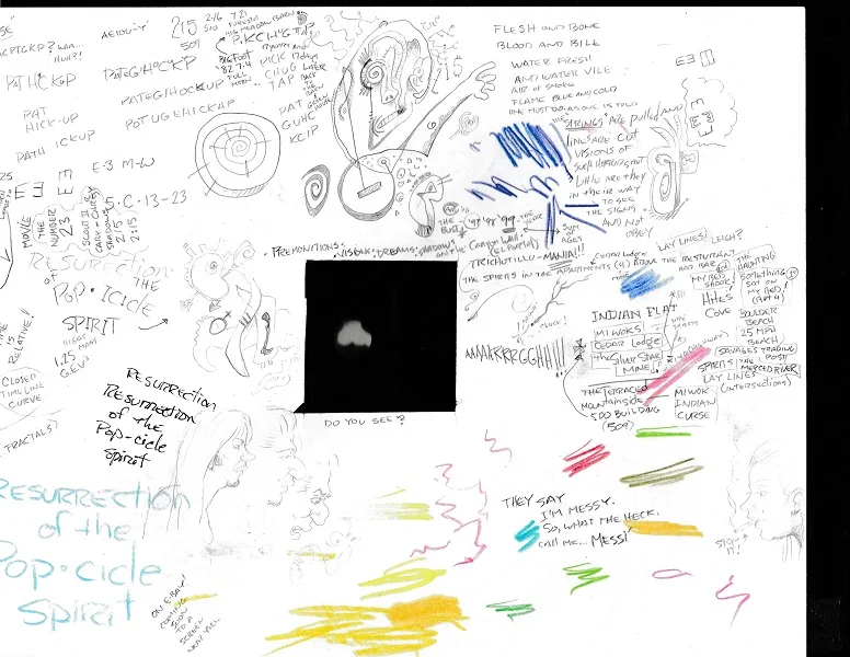 staynersketch1.jpg